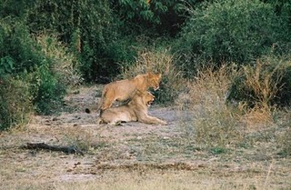 Media_http1bpblogspot_copcc