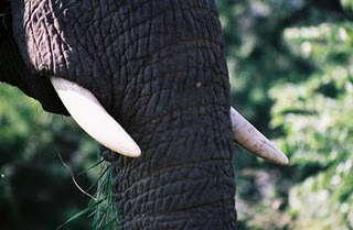 Media_http2bpblogspot_xhein