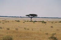 Media_http2bpblogspot_gaqsg